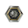 coin image